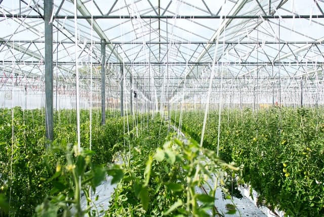 Remote control system for greenhouses with precise water management, fertigation and ventilation management Remote control system for greenhouses with precise water management, fertigation and ventilation management