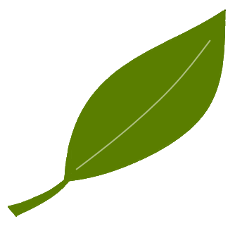 Leaf Image